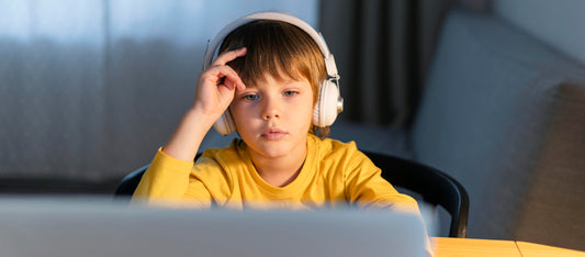 Securely surfing the internet